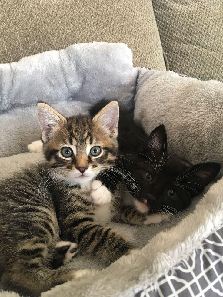 They look at me like I did something wrong