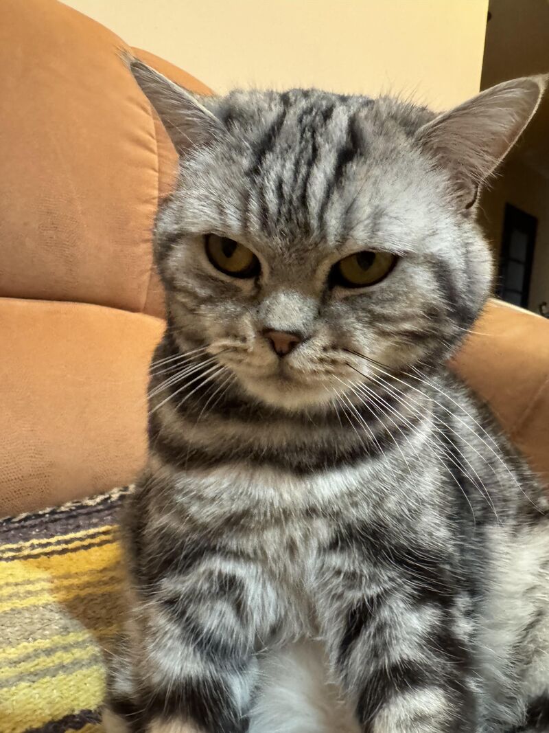 This is his ‘I tolerate you’ face.