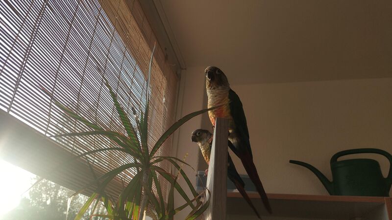 One of my favourites, pls share yours!