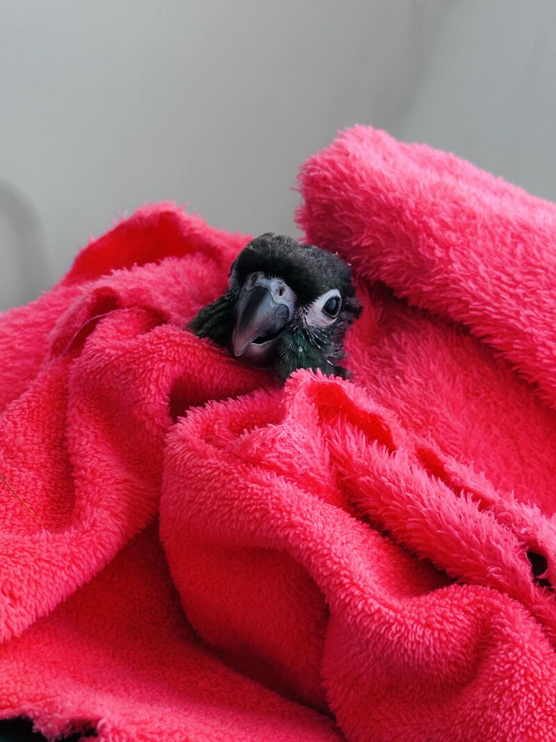 Tuần mới bình yên