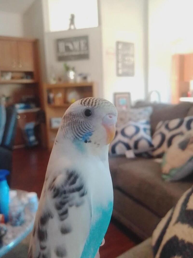 Not every beautiful thing asks for attention; some simply sit in silence and make everything feel lighter