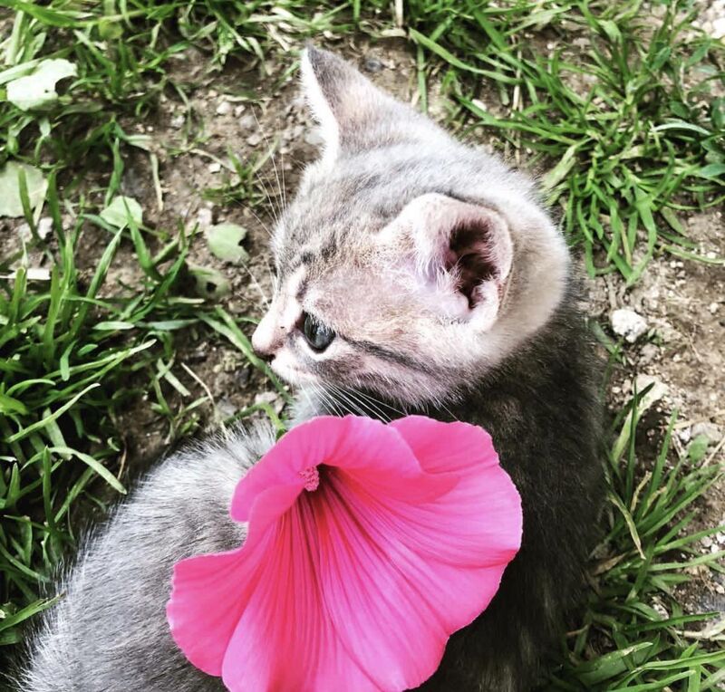 From a few years back. My little one