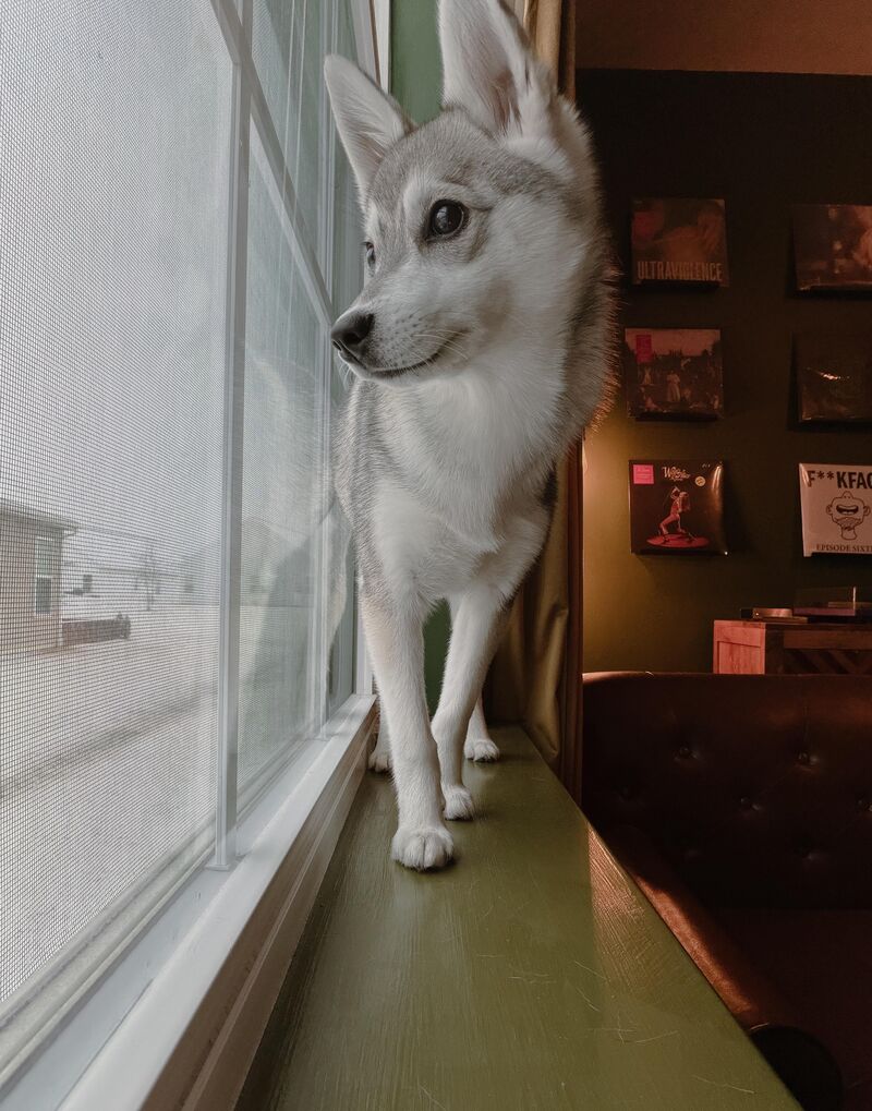 “Look! More snow!”