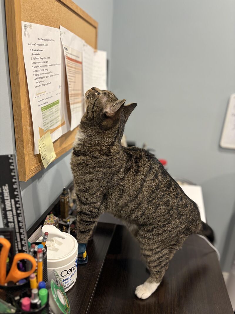 Miss Loretta is preparing for her first day of work tomorrow