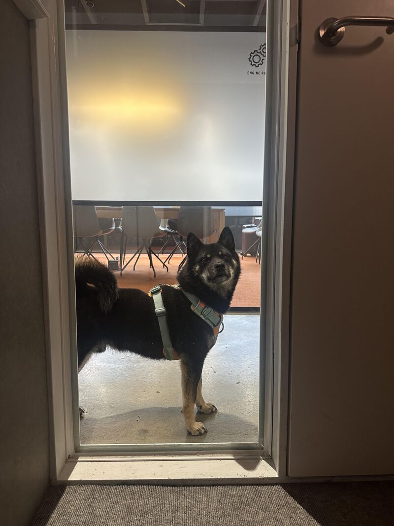 Mid-meeting, this guy wants to take over my call pod :)