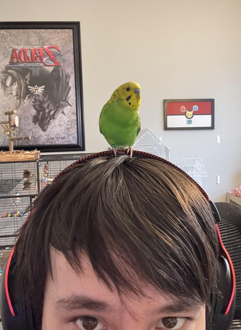 How Taqui hangs out with me when I’m gaming