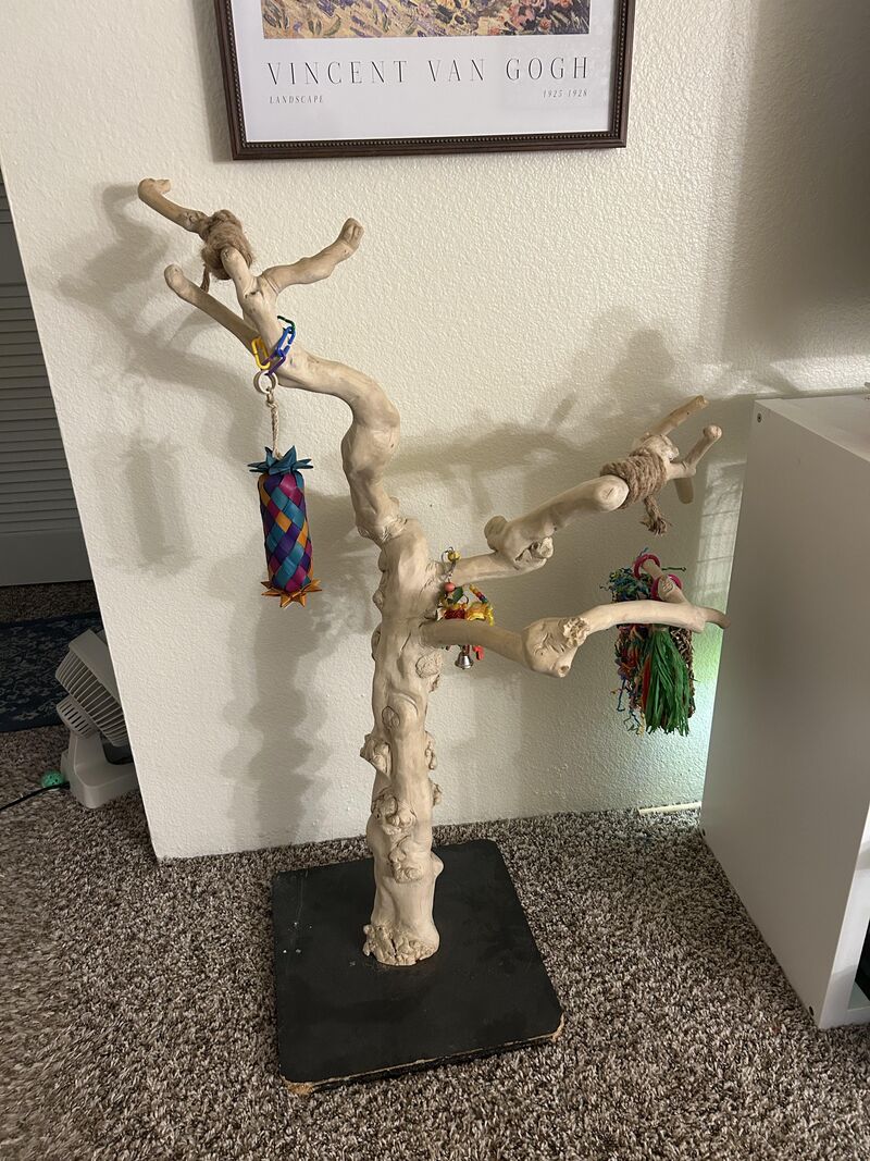 What should I wrap this in so she can climb and perch easier?