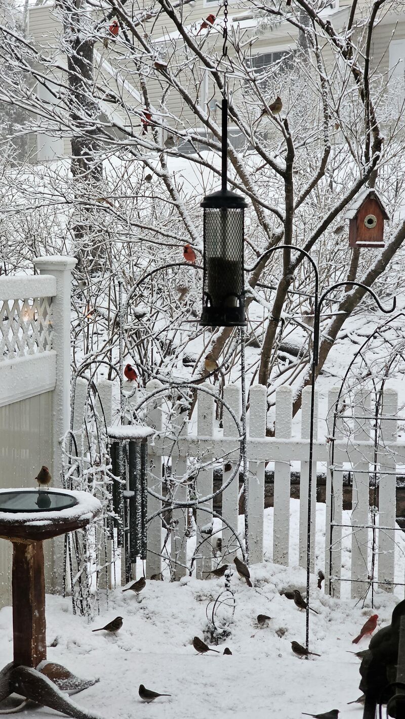 Before the storm in Central Jersey