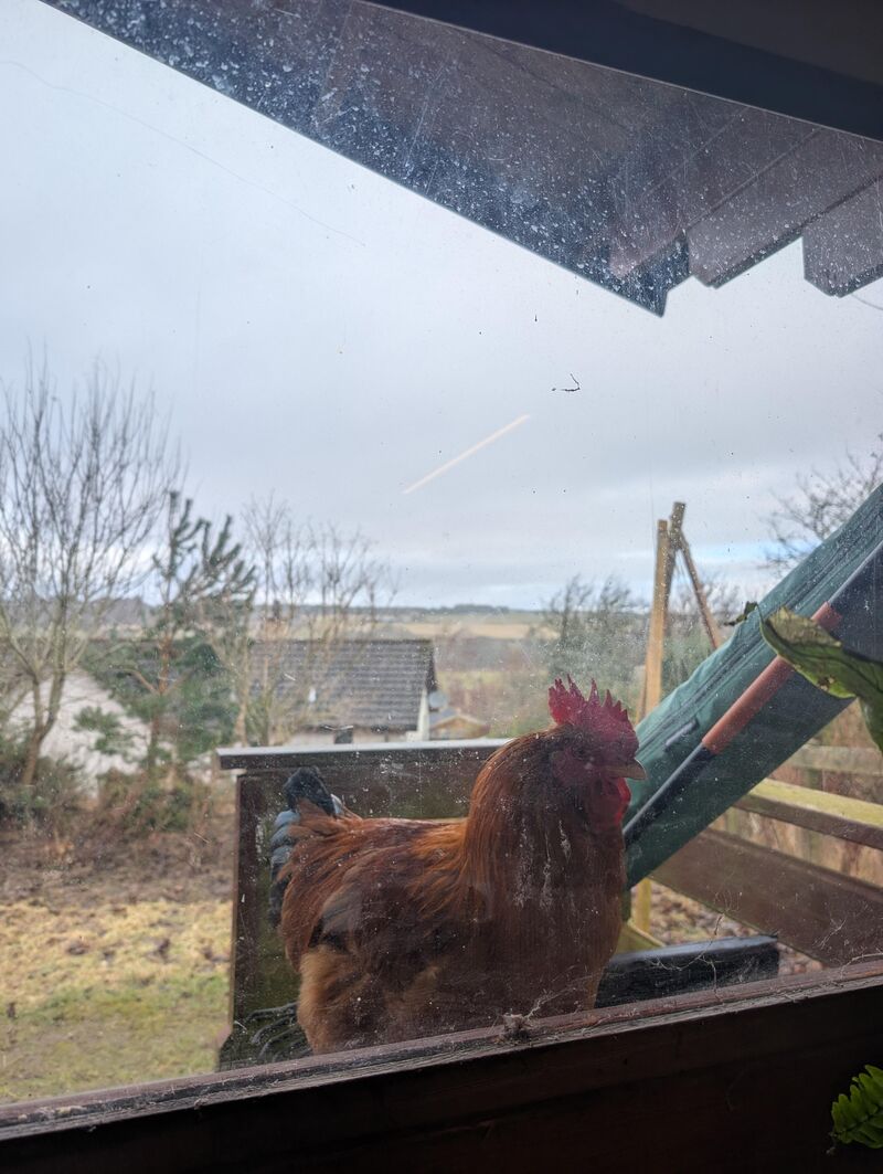 The view from the office.