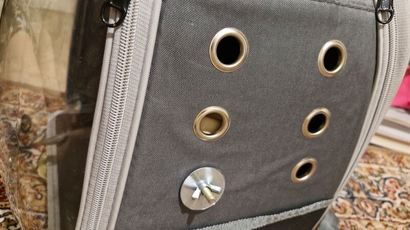 Is this backpack good for my girl?