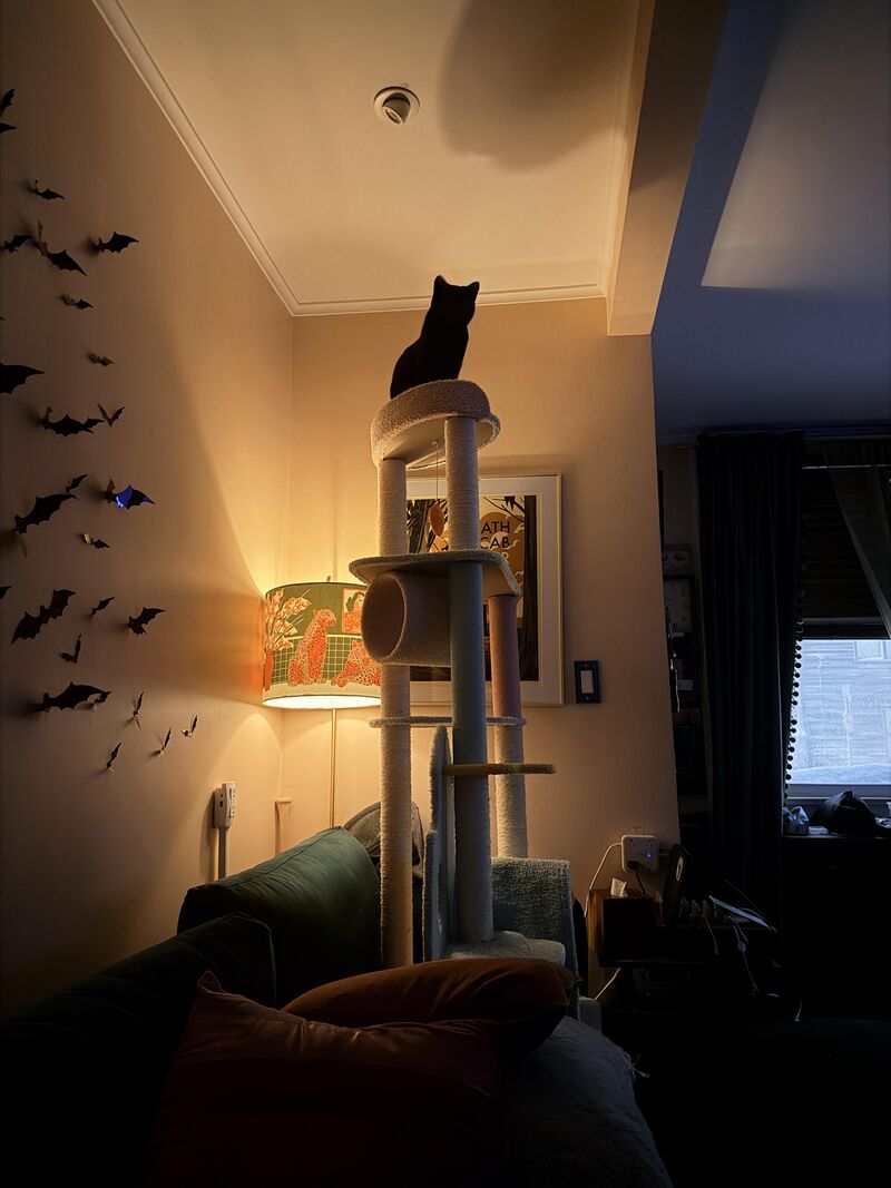 Well, I guess he’s our god now