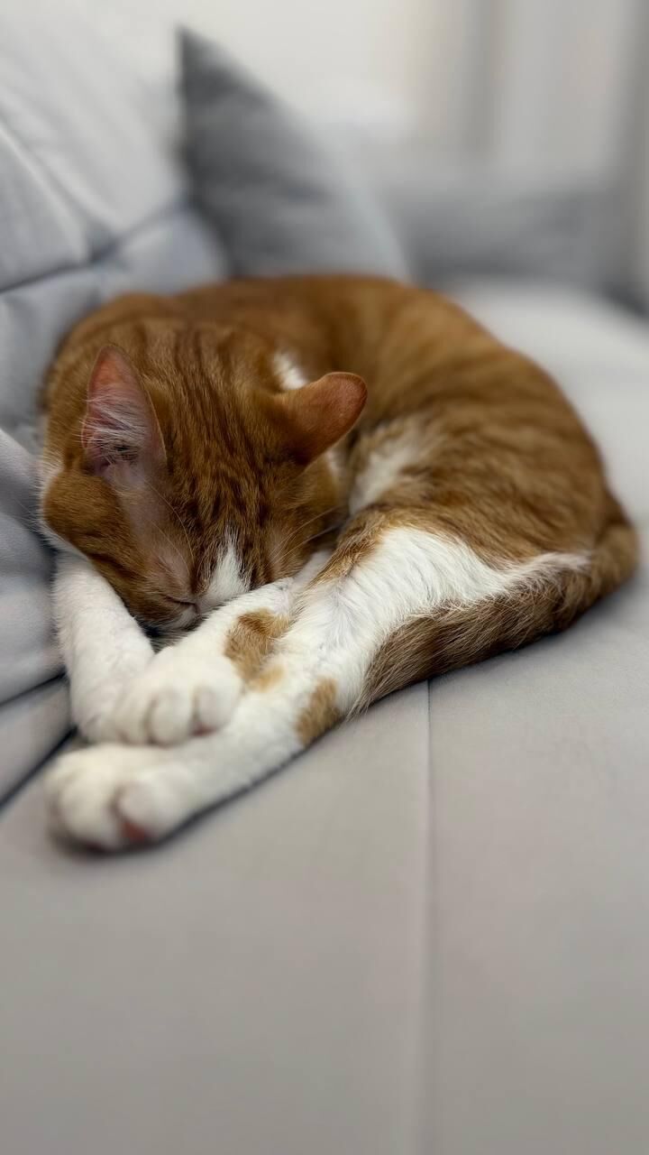 when u wake up and immediately start ur ballet routine