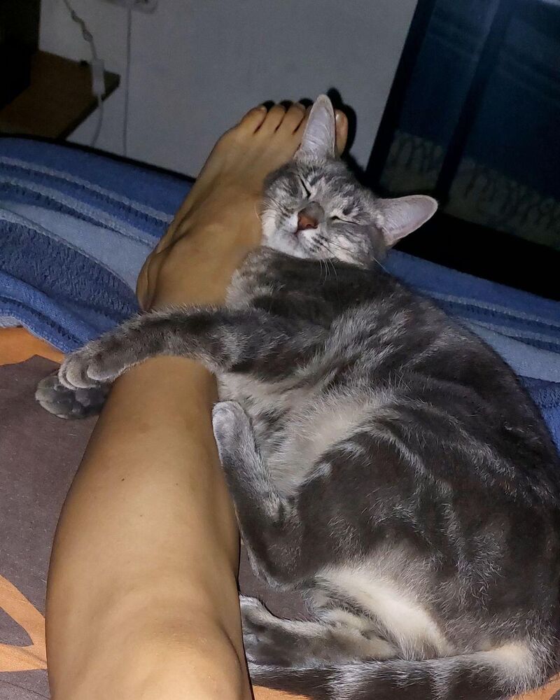 Personal space? Never heard of it