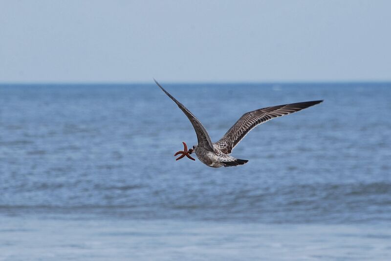 Favorite shot of all time