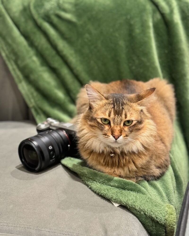 i clicked a pic of him on that camera.  i donno why he is looking at me after showing him his photo!!!