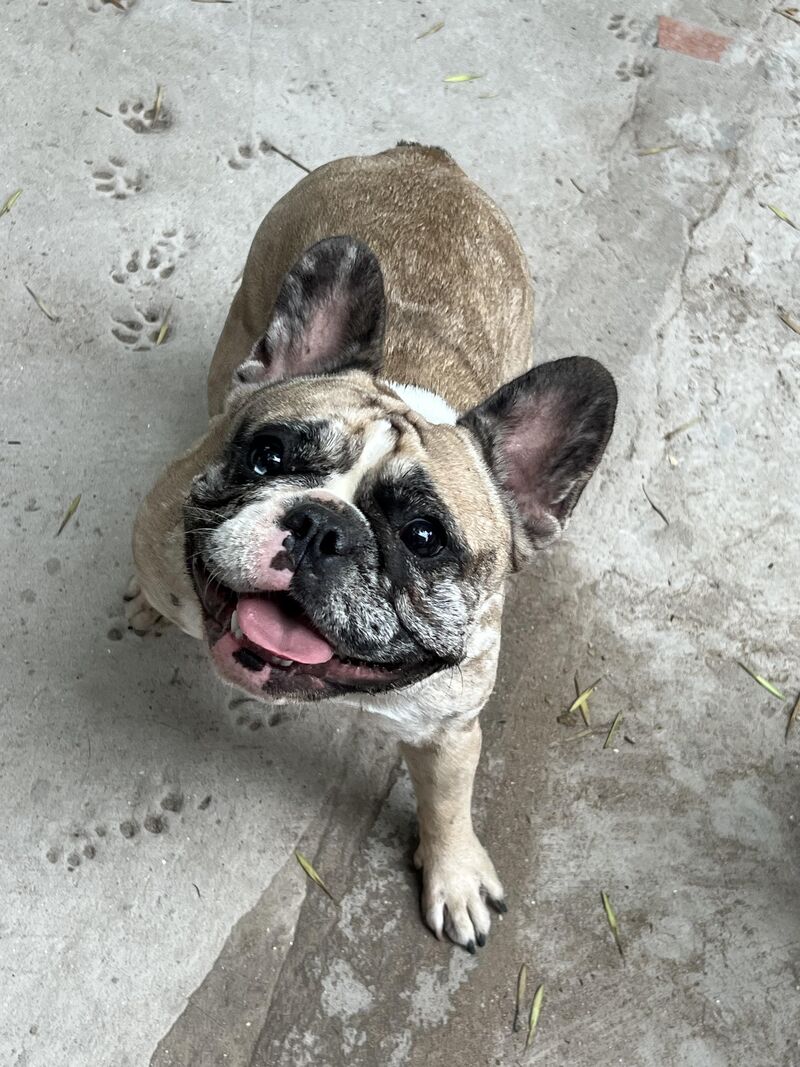 Hi there ! My name is Greta