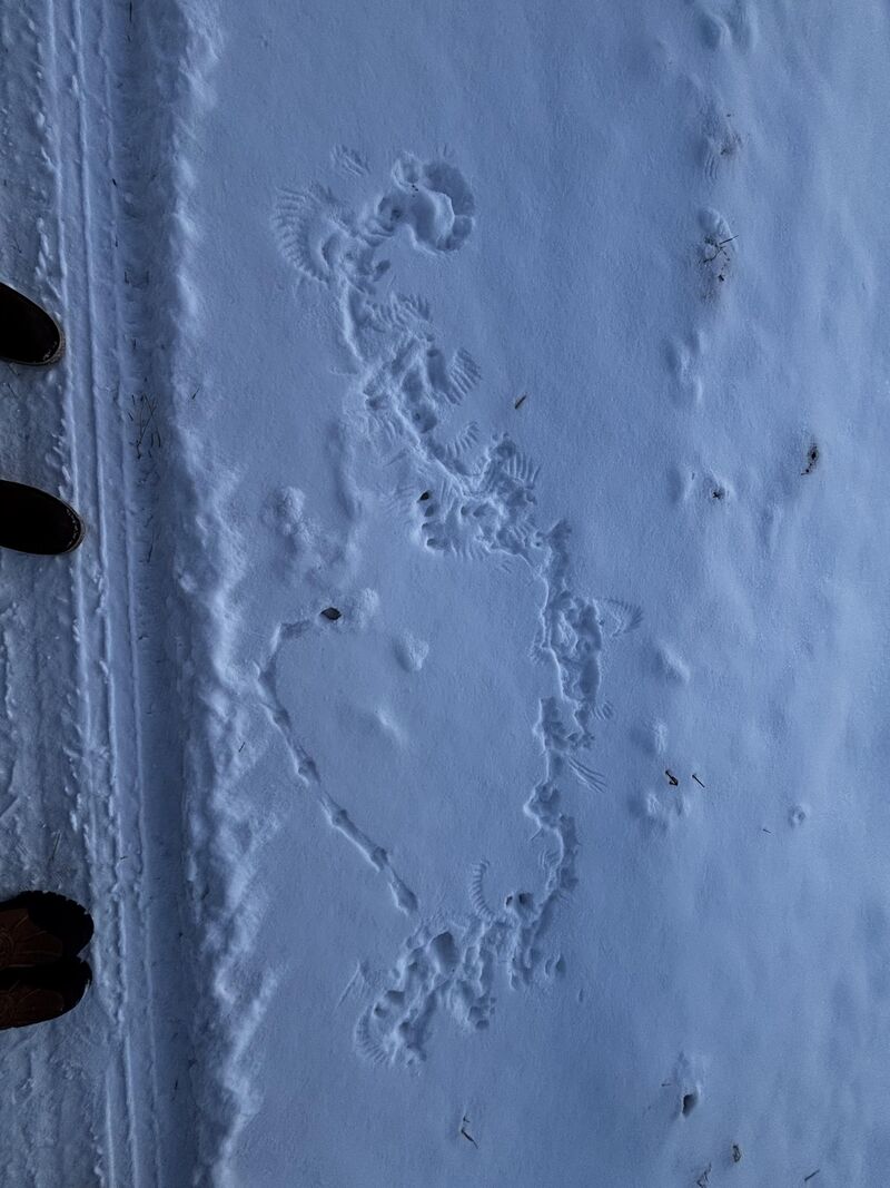 Murder scene from this weekend