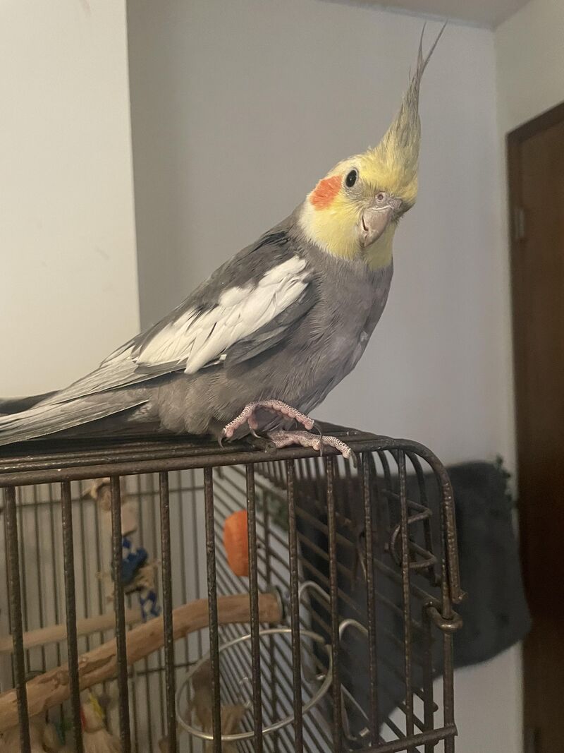 Not sure what to do, please help