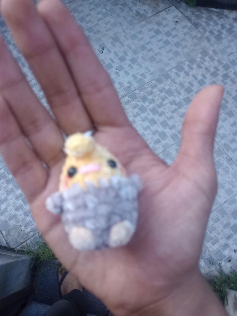My tiel as a Keychain