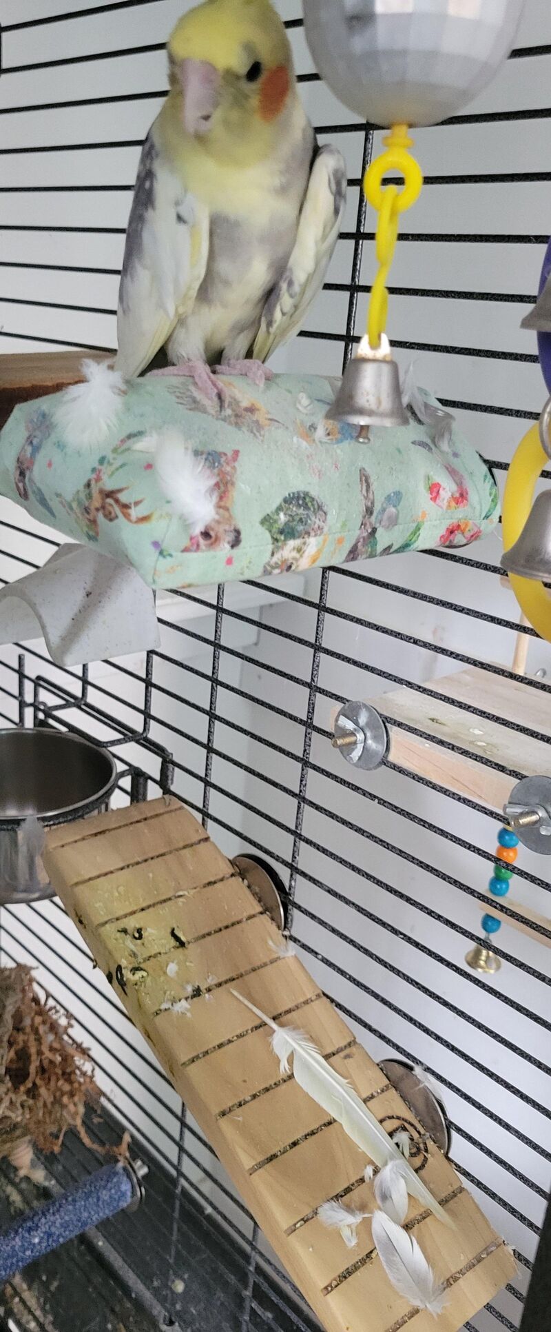 Old man exploded overnight