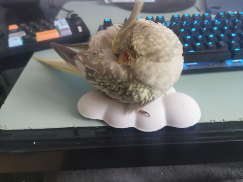 My little girl always steals my wrist pad to nap