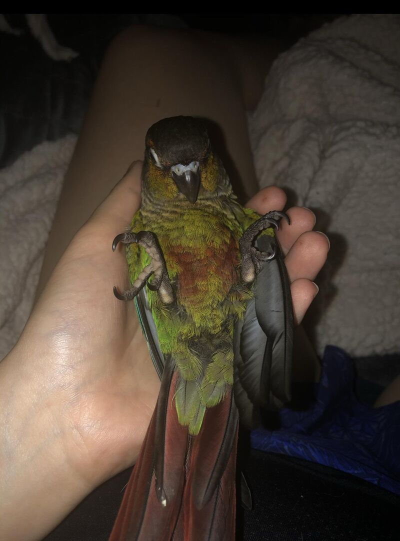 Can you do this with your babies?