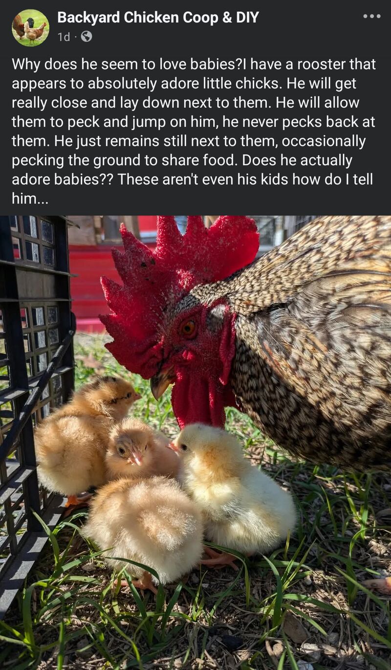 They stole my photo and put it on Facebook