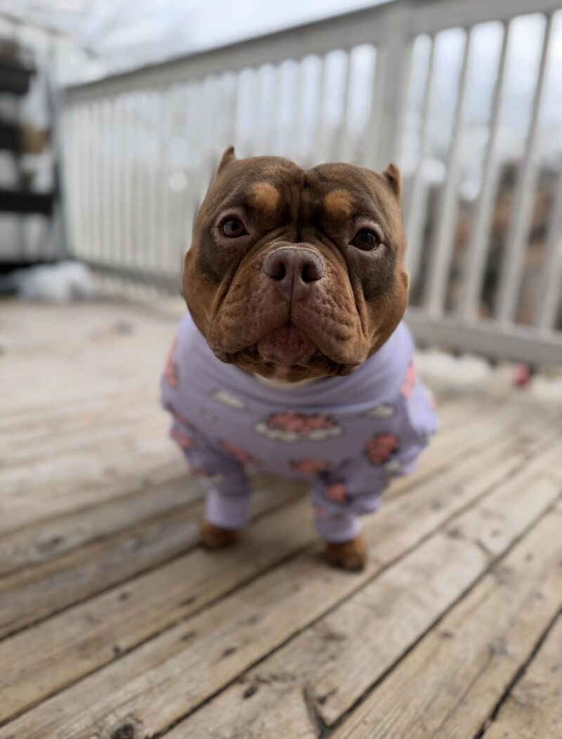 Cold day equals wearing pjs all day❤️