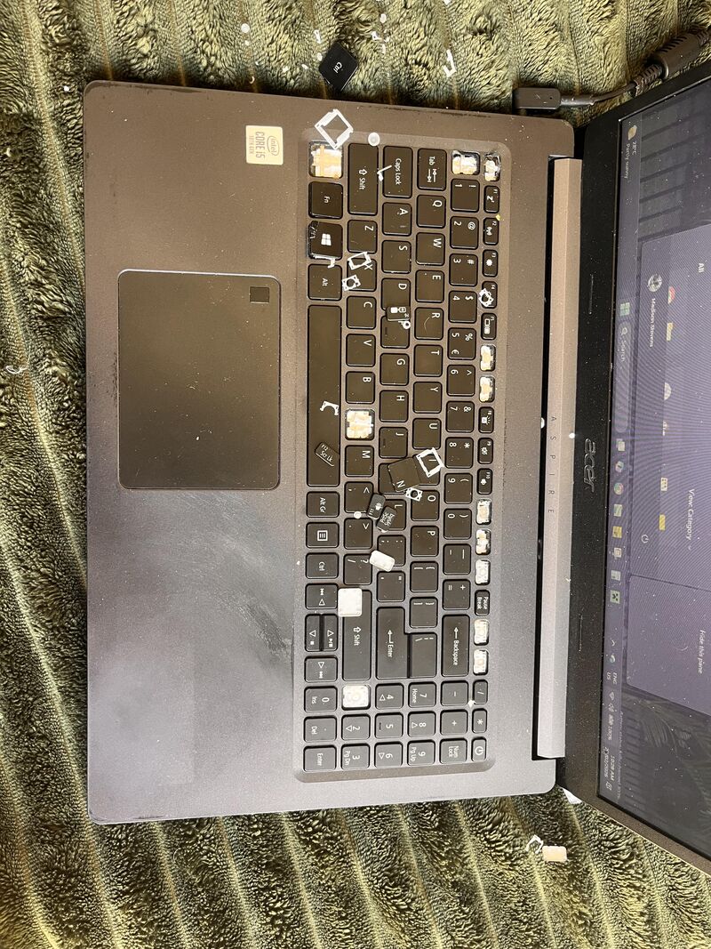 On today’s episode of what has my conure destroyed…