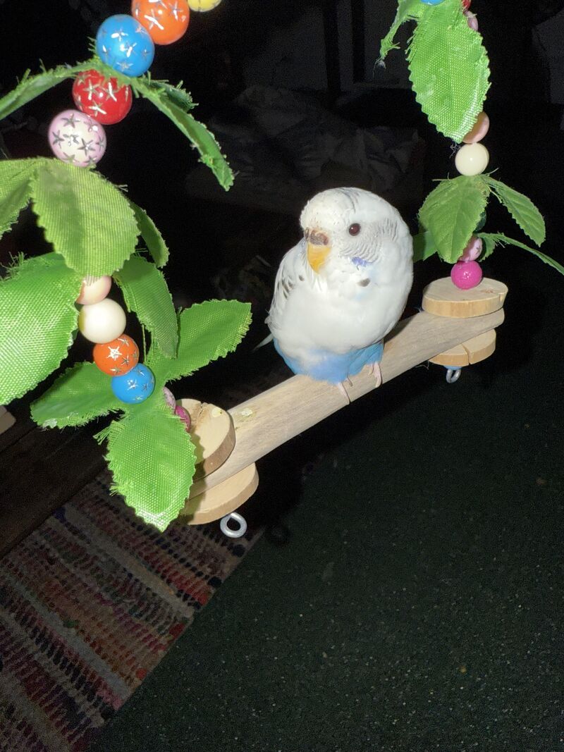 Felt cute might delete later