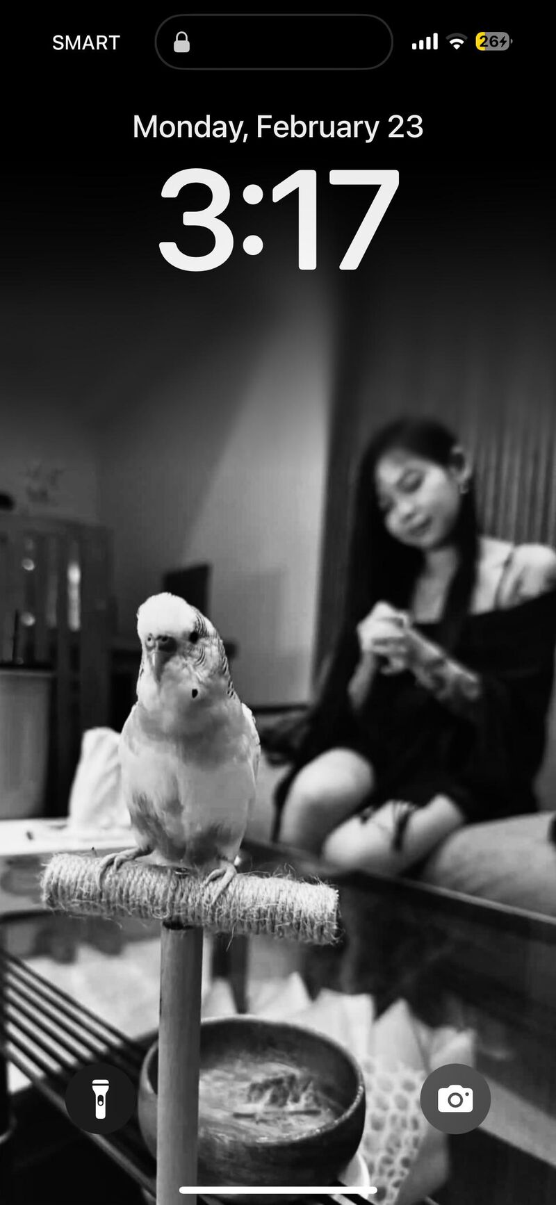 Hmm. Fat or muscular?