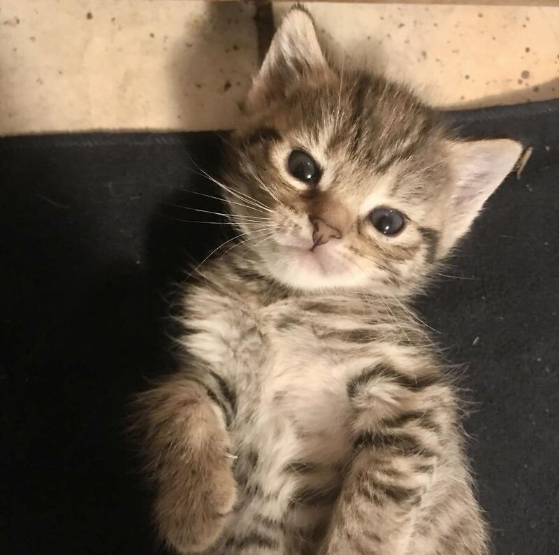 how cute is she 🥺