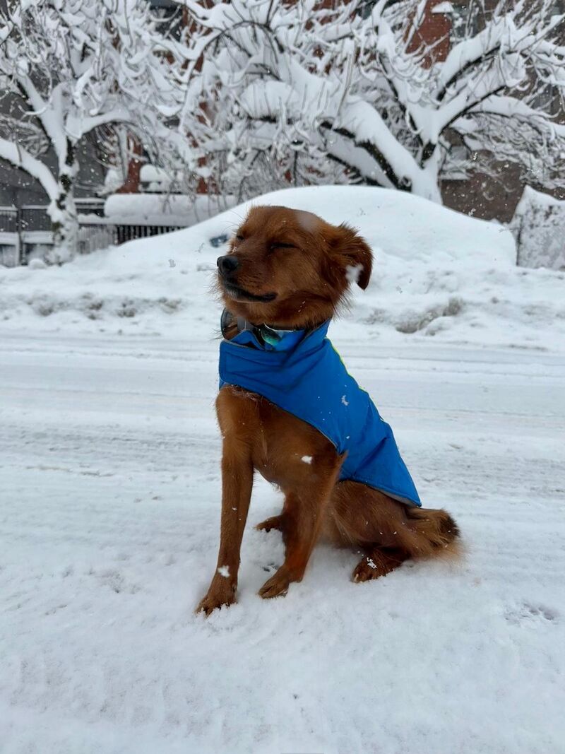 Barry enjoying the blizzard