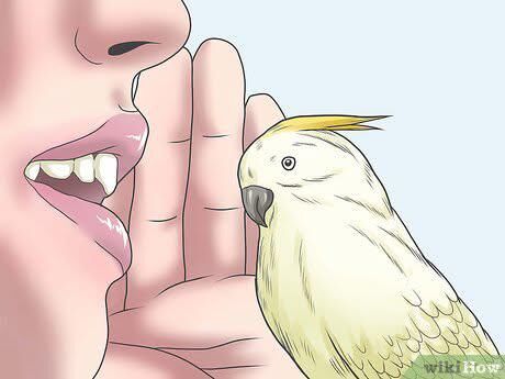 Caption this! Absolutely haunting wikihow art. What do you think is being whispered? 🤫