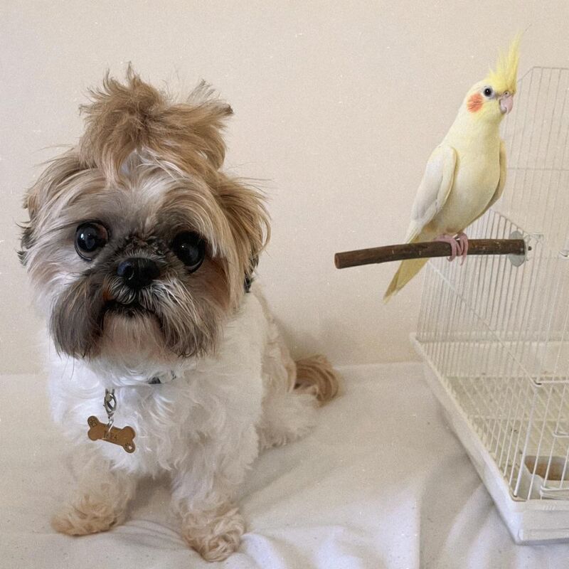 My girls💕 Tara&Pika