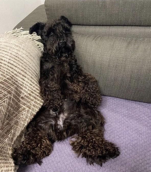 He very love watch film with me