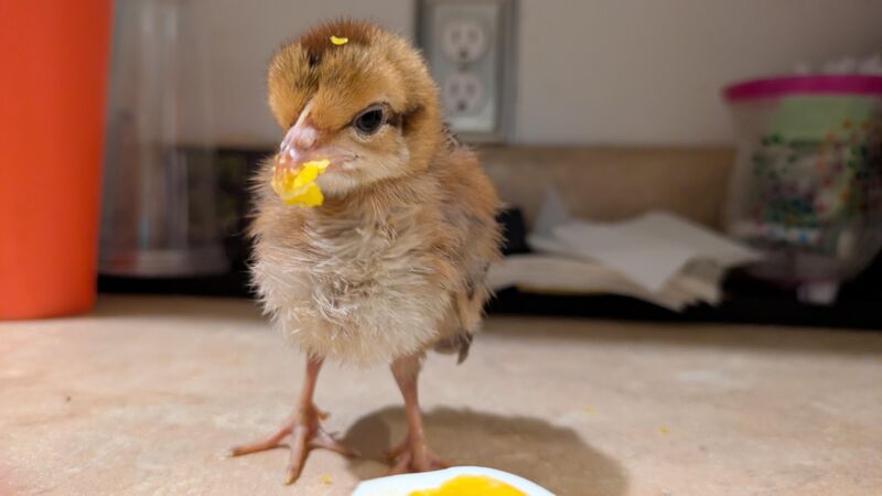 What was wrong with her?