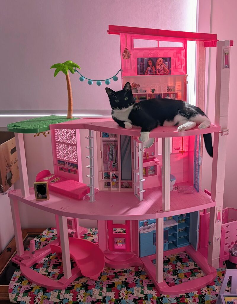 Her fave place in the house