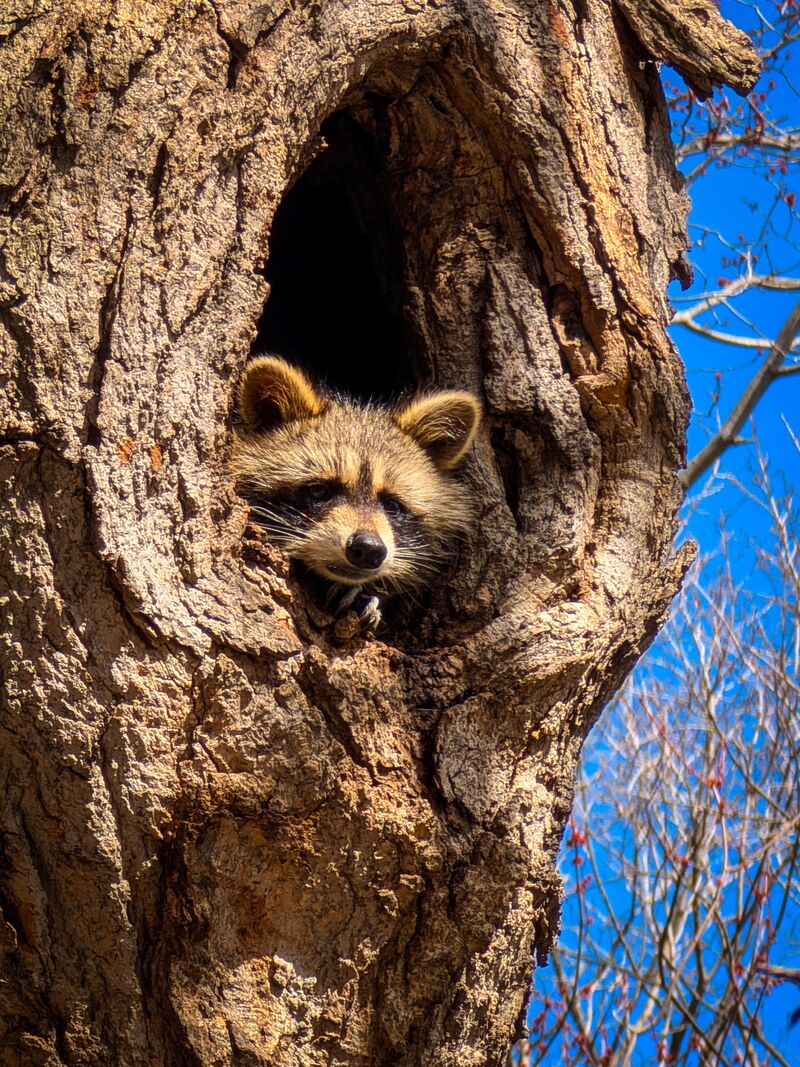 Little fella waking up from a nap