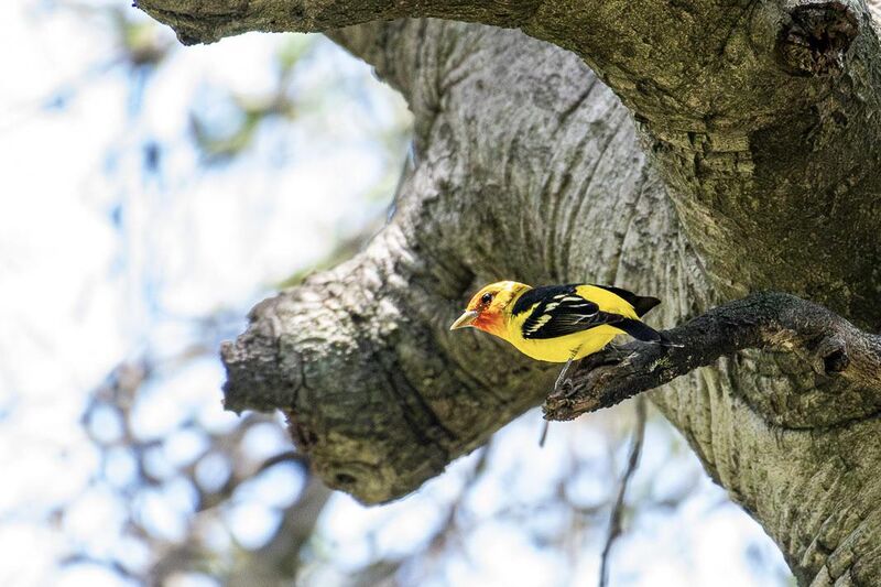 A lifer over the weekend!