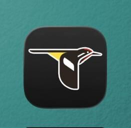 I’ve been waiting way too long for a Merlin Bird ID dark mode icon, so I made one myself