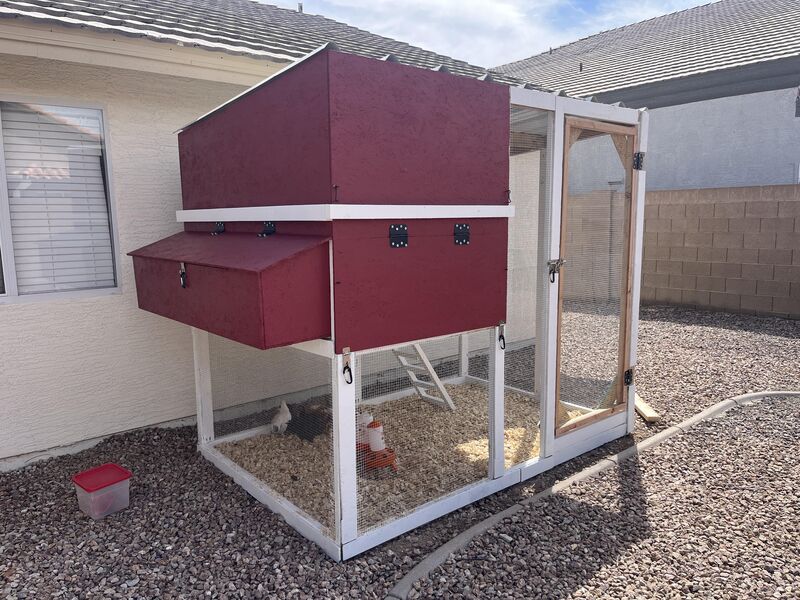 Finished our coop run!