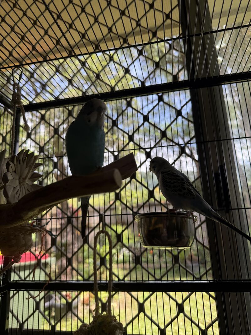 Lost trust with my 2 mates