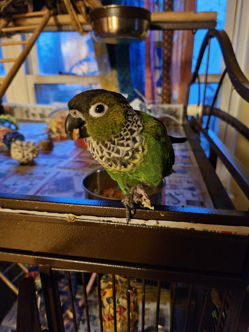 Shout out to my best boy!