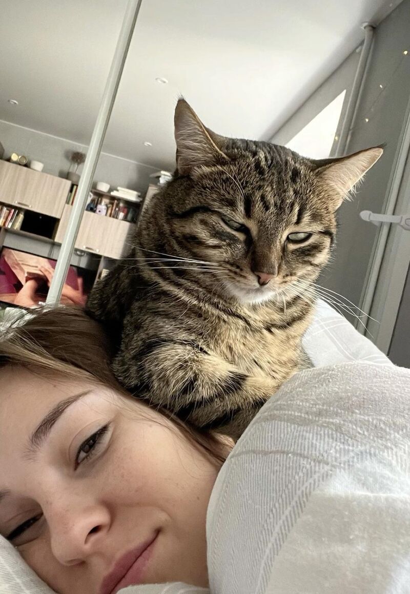 My kitty cat is mad at me. needs a rehab