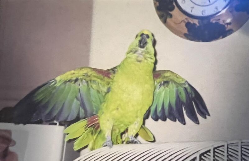 Please Help with Any Advice