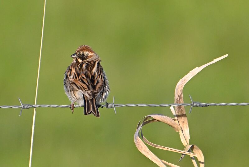 What are you looking at?