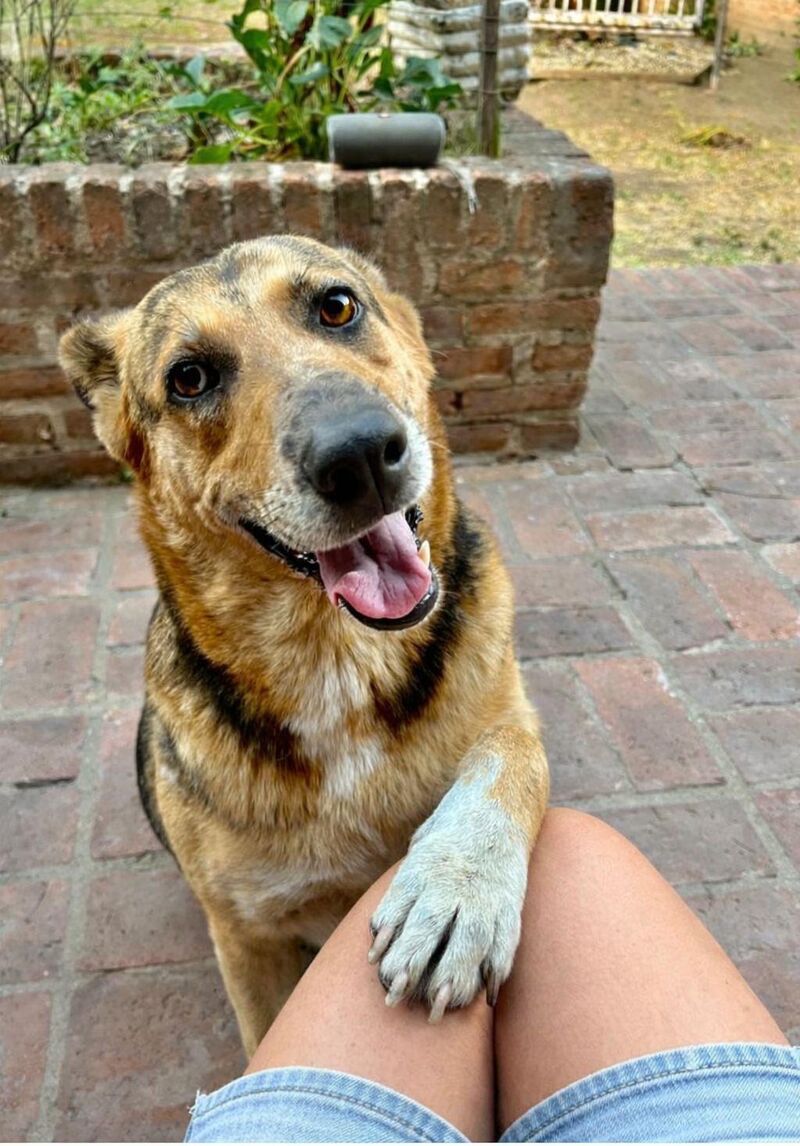 She gave me her paw.. I didn’t stand a chance