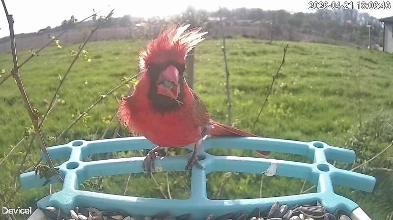 What is this guy's rock and roll name??