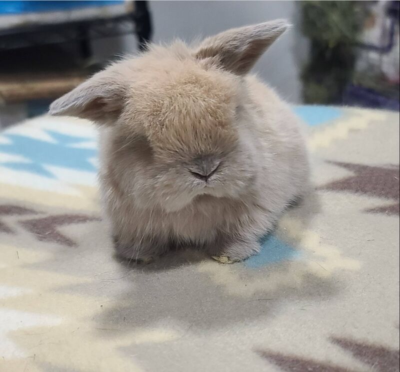 Don't disturb me! I'm still sleepy 😴